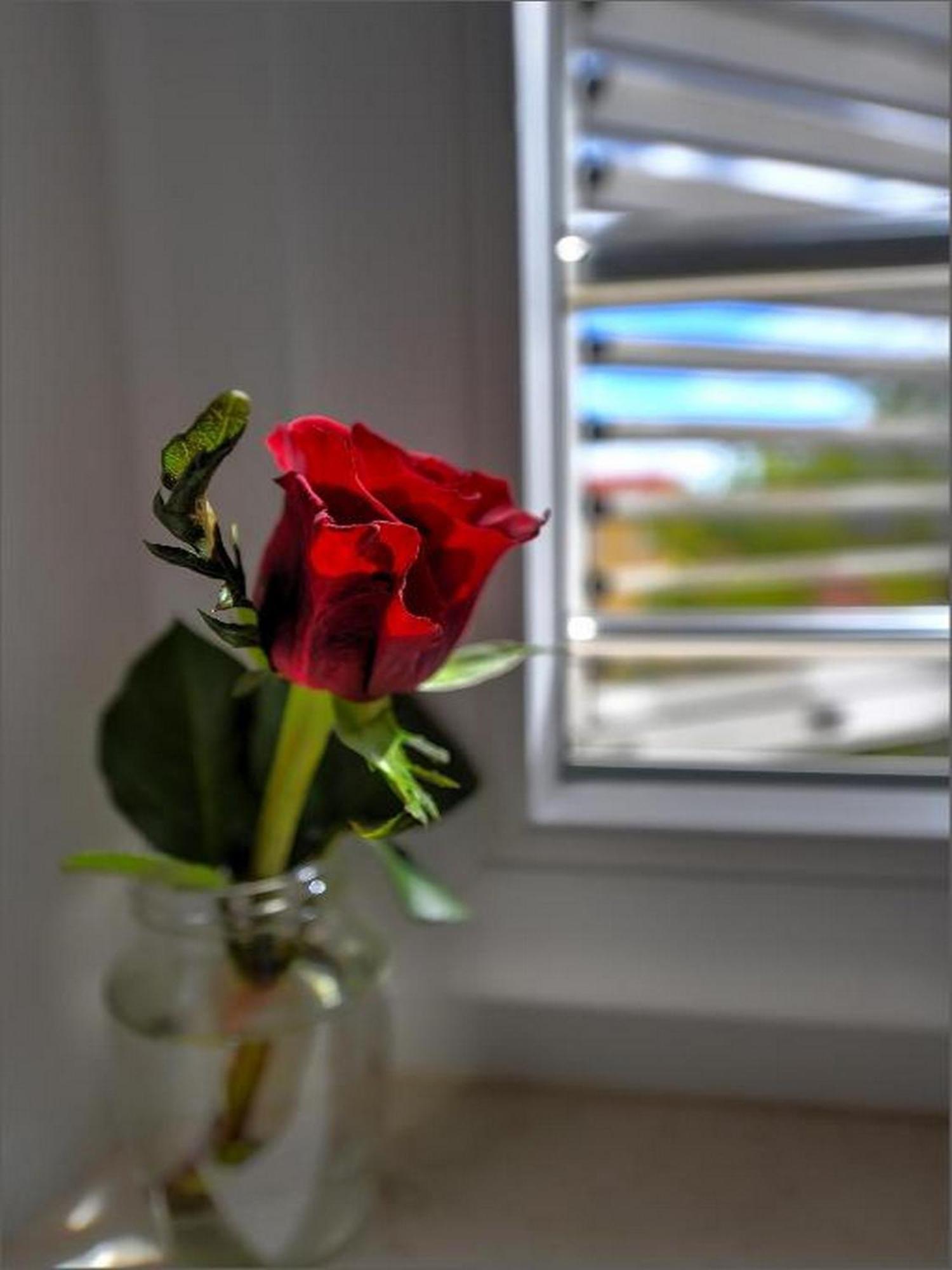 Via Porto Rooms Сплит Стая снимка